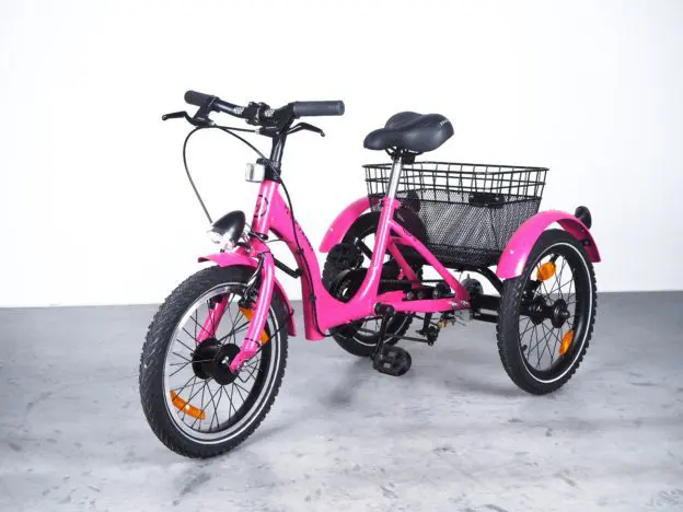 Rower rehabilitacyjny trójkołowy HOP TRIKES HOP. 16